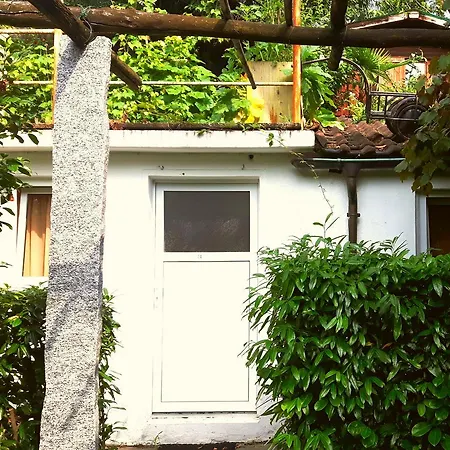 Garden *
